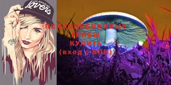 a pvp Абдулино