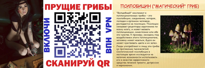 дарнет шоп  blacksprut ссылки  Галлюциногенные грибы GOLDEN TEACHER  Ярославль 